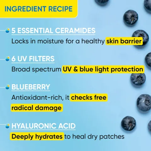 Blueberries on a light blue background with skincare ingredient benefits listed alongside.
