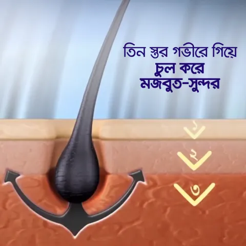 Marico Bangladesh Parachute Hair Oil Advansed Enriched Coconut 275ml - Buy Online at Drubotara Bangladesh