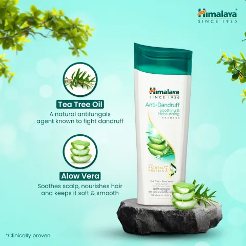 Himalaya shampoo bottle with aloe vera and tea tree oil, placed on a rock with green leaves