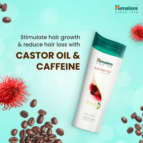 Himalaya Bangladesh Himalaya Anti Hair Fall Shampoo with Castor & Caffeine 180ml - Buy 1 Get 1 - Product Image 4 | Drubotara