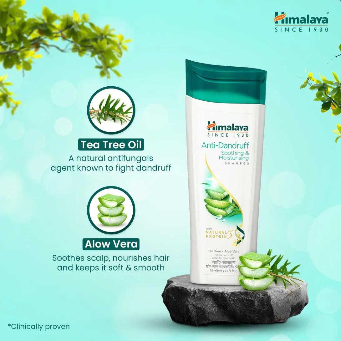 Himalaya shampoo bottle with aloe vera and tea tree oil, placed on a rock with green leaves